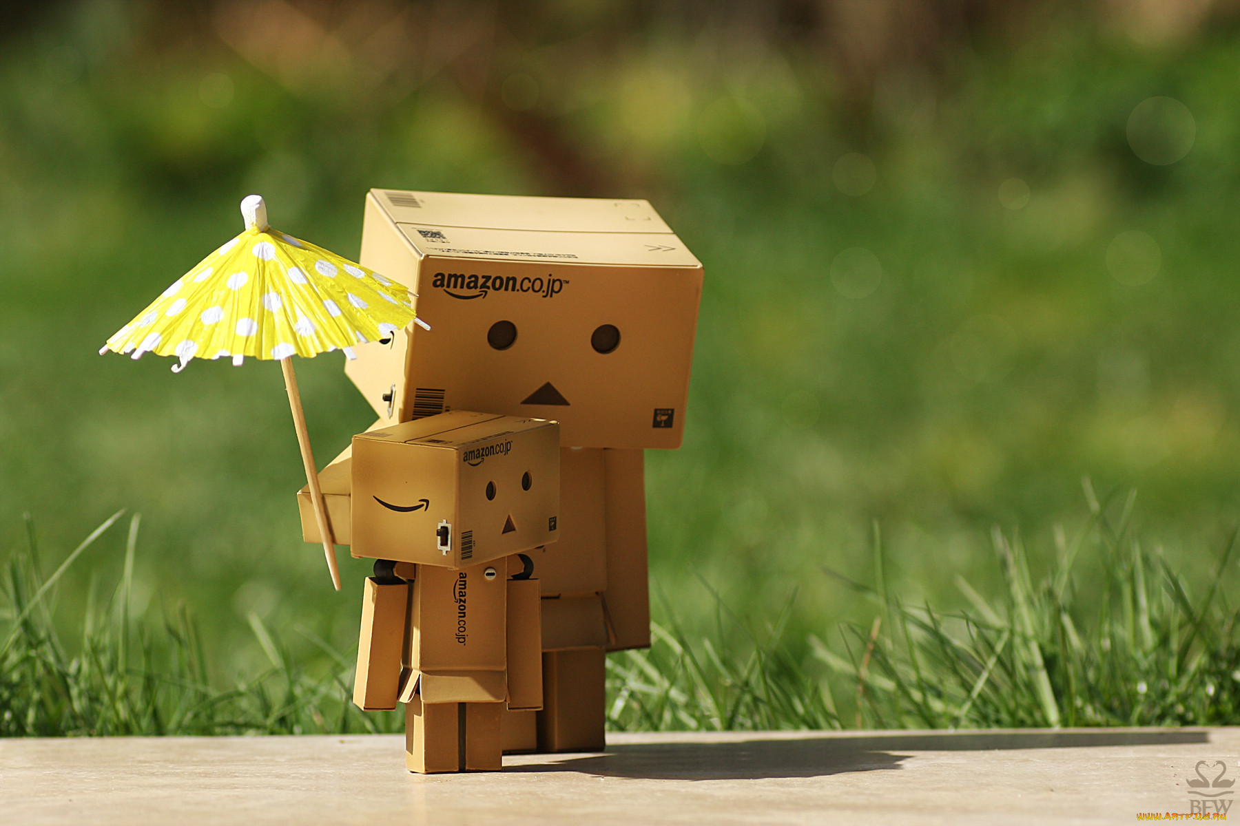 , , danboard, , 